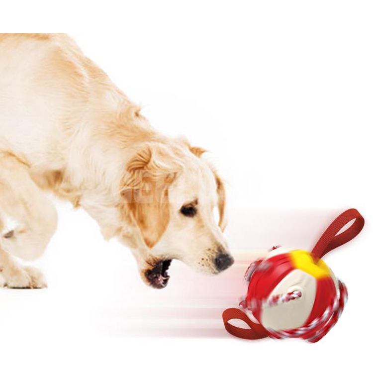 Disco volador interactivo para mascotas Bola de juguete para perros resistente a mordeduras GRDTD-2