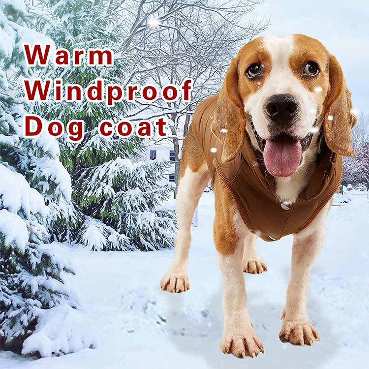  Abrigos para perros a prueba de viento de invierno Abrigos para clima frío Forro polar cálido GRDAC-10