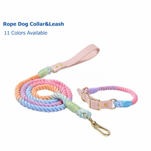Rainbow Ombre Color Dog Training Collar Correa Set GRDHL-2